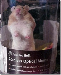 packarbell mouse