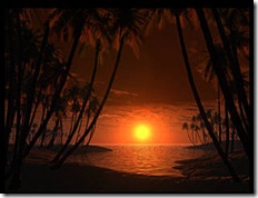 tropical sunset